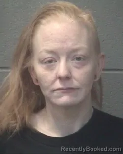 Mugshot of JESSICA LAPINSKA