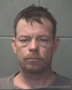 Mugshot of DUSTIN CHADWICK WILKINSON
