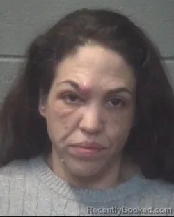 Mugshot of JOHANNA FLOWERS