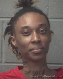 Mugshot of TATIANA RAYSHELLE EAKINS