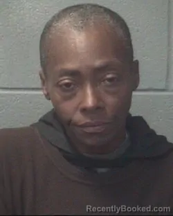 Mugshot of SHANNON FABIOLA KNIGHT