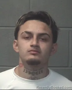 Mugshot of LUIS ALBERTO RAMIREZ SUAREZ