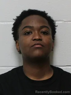 Mugshot of ADRIANA DE PENA FIGARO