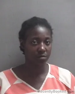 Mugshot of SHAKITTA NECOLE LONG