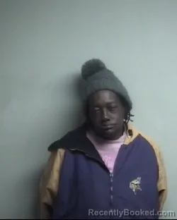 Mugshot of BEATRICE STATON ALI