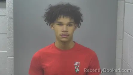 Booking photo from Alpena County, Michigan