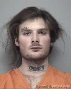 Mugshot of CHANDLER DUANE DAVIS