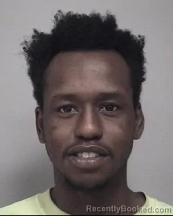 Mugshot of EMANUEL JOHNQUIE WILLIAMS