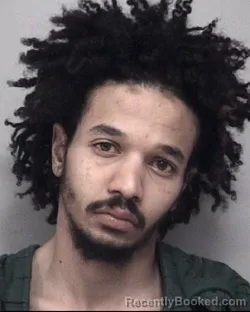 Mugshot of KARIM LOVE WILSON