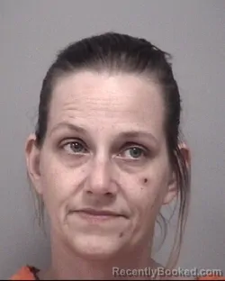 Mugshot of PATI LEEANN WELLS