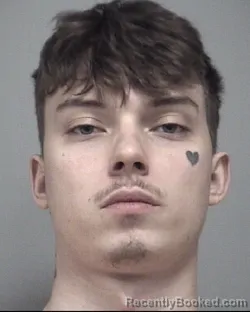 Mugshot of TREY LEVI HARVATH