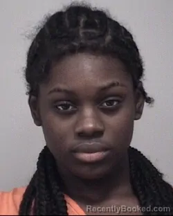 Mugshot of TAWANA JALIS LAWLER