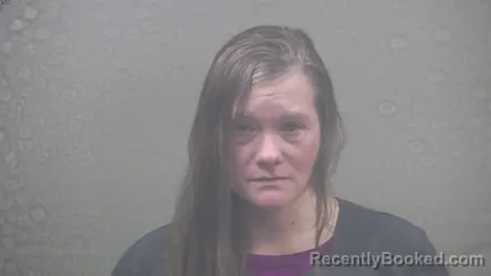 Mugshot of STACY ANN KAMIN