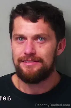 Mugshot of Devin Wade Webb