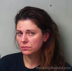 Mugshot of Robin Adina Lantz