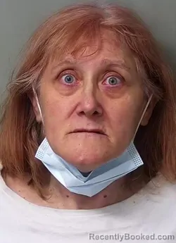 Mugshot of Susan Ann Sova
