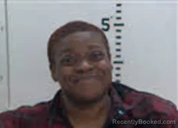 Mugshot of AUTUMN J BRINKLEY