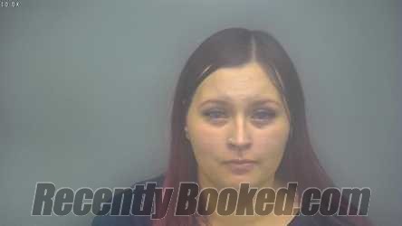 Booking photo from Isabella County, Michigan