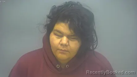 Booking photo from Isabella County, Michigan