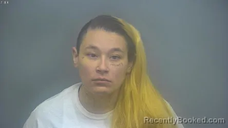 Mugshot of SARAH LORINE SNYDER