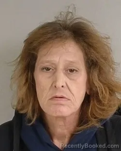 Mugshot of Tamera Jane Partin