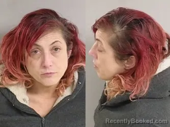 Mugshot of Melissa Jo Phillips