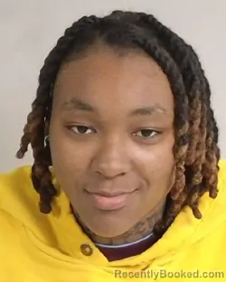 Mugshot of Suszie Marie Gibson