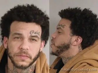 Mugshot of ARIC LAMONT HOLLOWAY