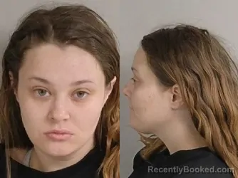Mugshot of SUMMER ROSE NEWSOME