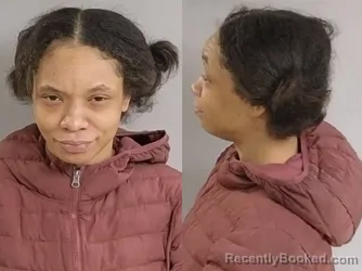 Mugshot of Shantanique Renay Lacole Swint