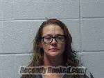 Booking photo from Polk County, North Carolina