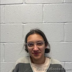 Booking photo from Polk County, North Carolina