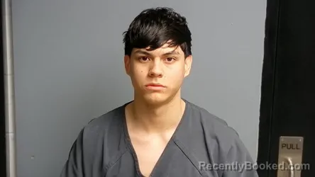 Mugshot of GERALD ALESSANDRO RODRIGUEZ PEREIRA