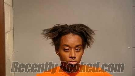 Booking photo from Marquette County, Michigan