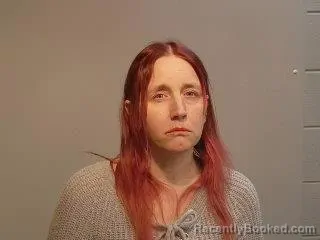 Mugshot of Elizabeth Faye Lane