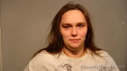 Booking photo from Marquette County, Michigan