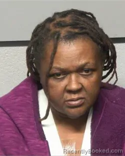 Mugshot of SANDRA LAVERN MCNEILL