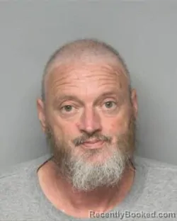 Mugshot of ANDREW RYAN WILSON