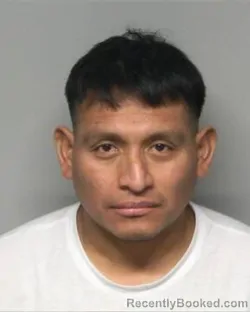 Mugshot of GREGORIO HERNANDEZ PAZ