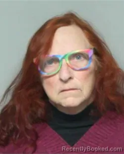 Mugshot of MELINA KAY ROBINSON