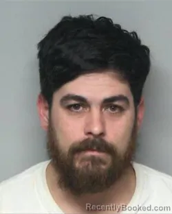 Mugshot of DAVID LYNN BONILLA