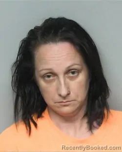 Mugshot of ASHLEY NICOLE HUTCHINSON