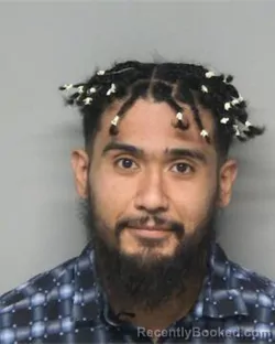 Mugshot of JOSE LUIS SANCHEZ