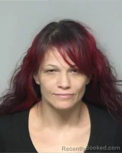 Mugshot of NATASHA LYNN LOWERY