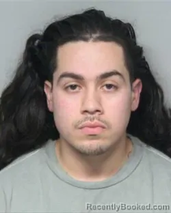 Mugshot of EDWIN ALEXANDER POLANCO