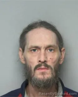 Mugshot of DANNY RAY LANIER