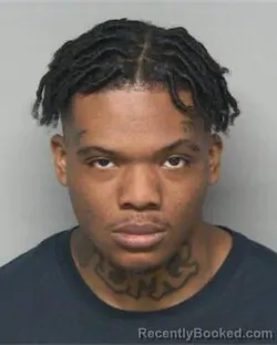 Mugshot of TYLER KRISTIAN NELSON