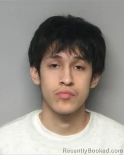 Mugshot of DJ GAEL RAMIREZ