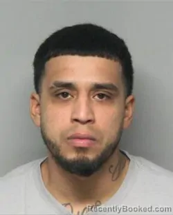 Mugshot of BRANDON LAVARIEGA