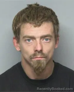 Mugshot of DYLAN SCOTT HAAS